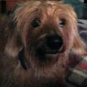 Meet your Posher, Laurie